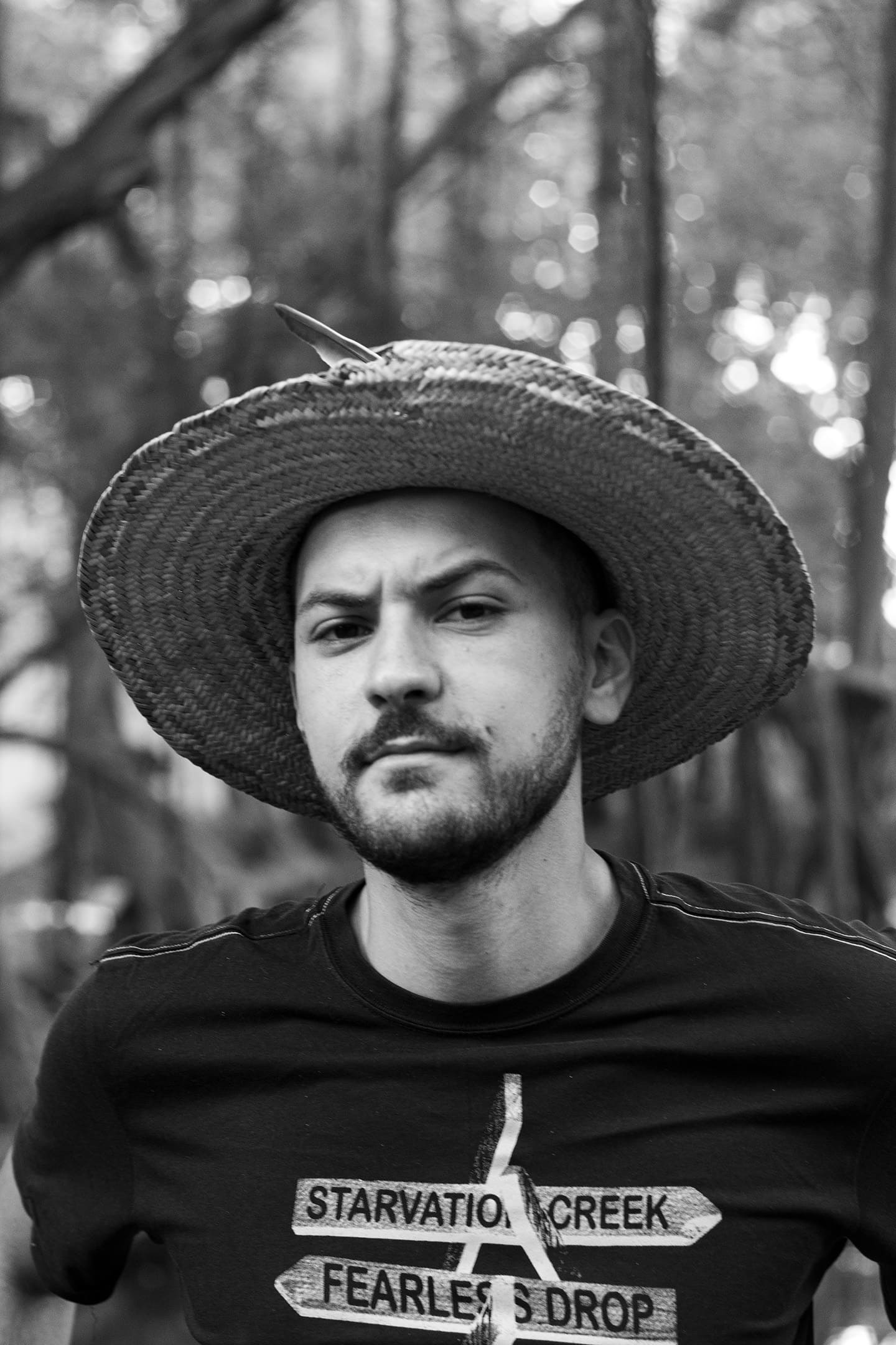 Decorative banner image