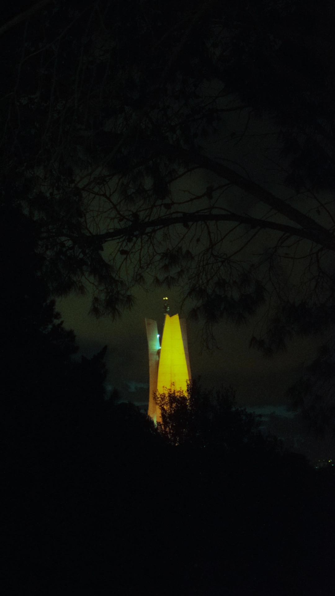 Decorative banner image