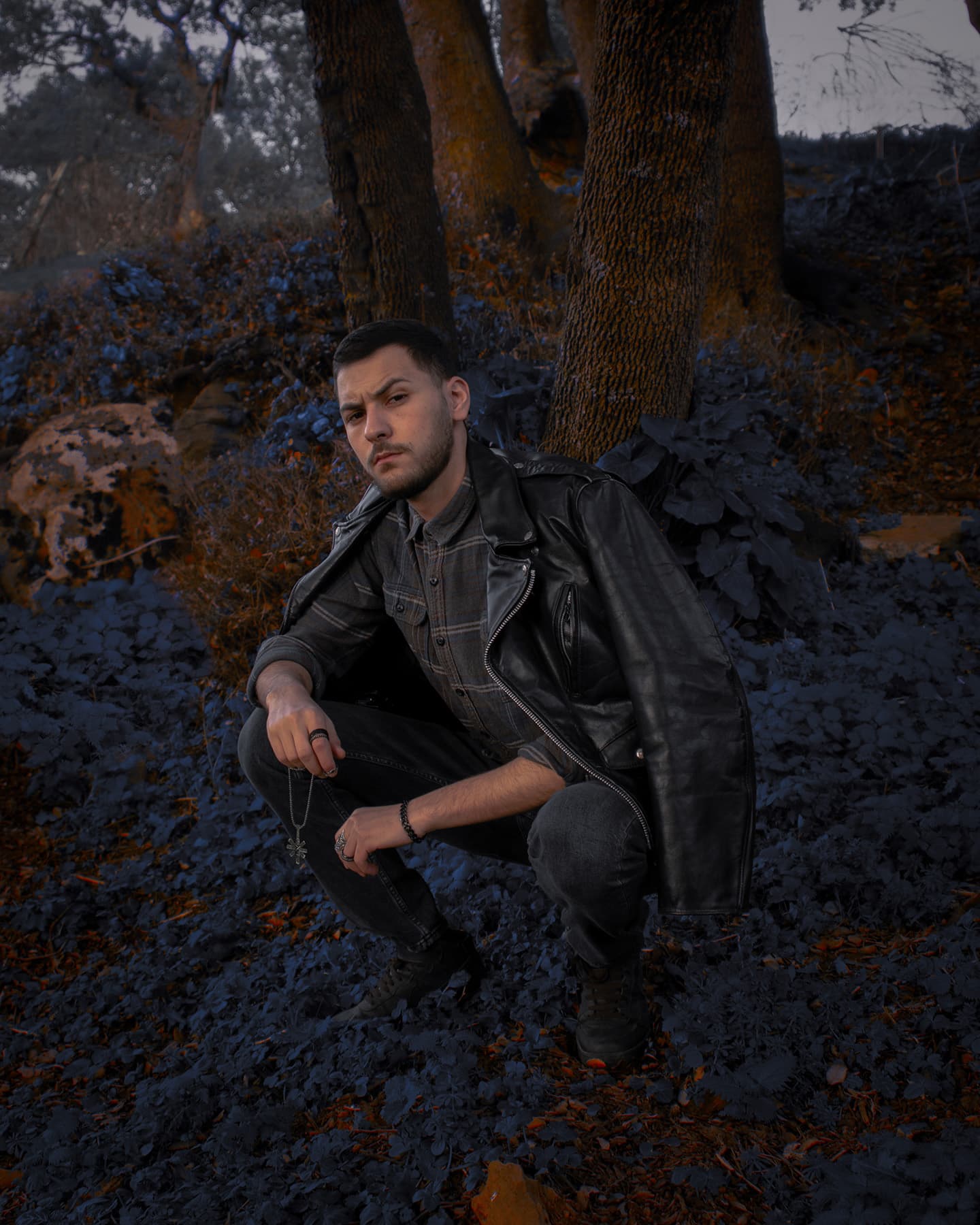 Echoes in the Forest