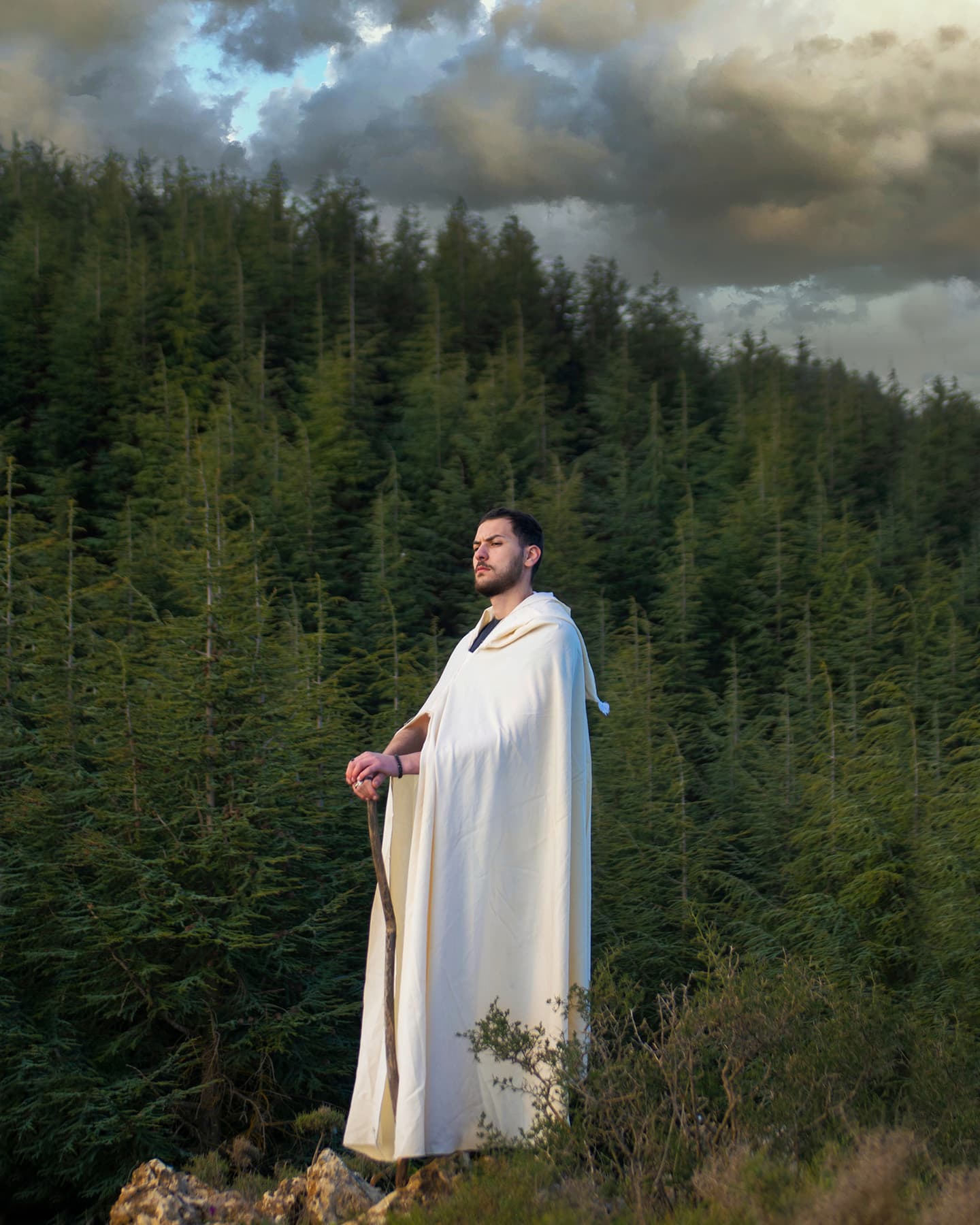 Guardian of the Heights