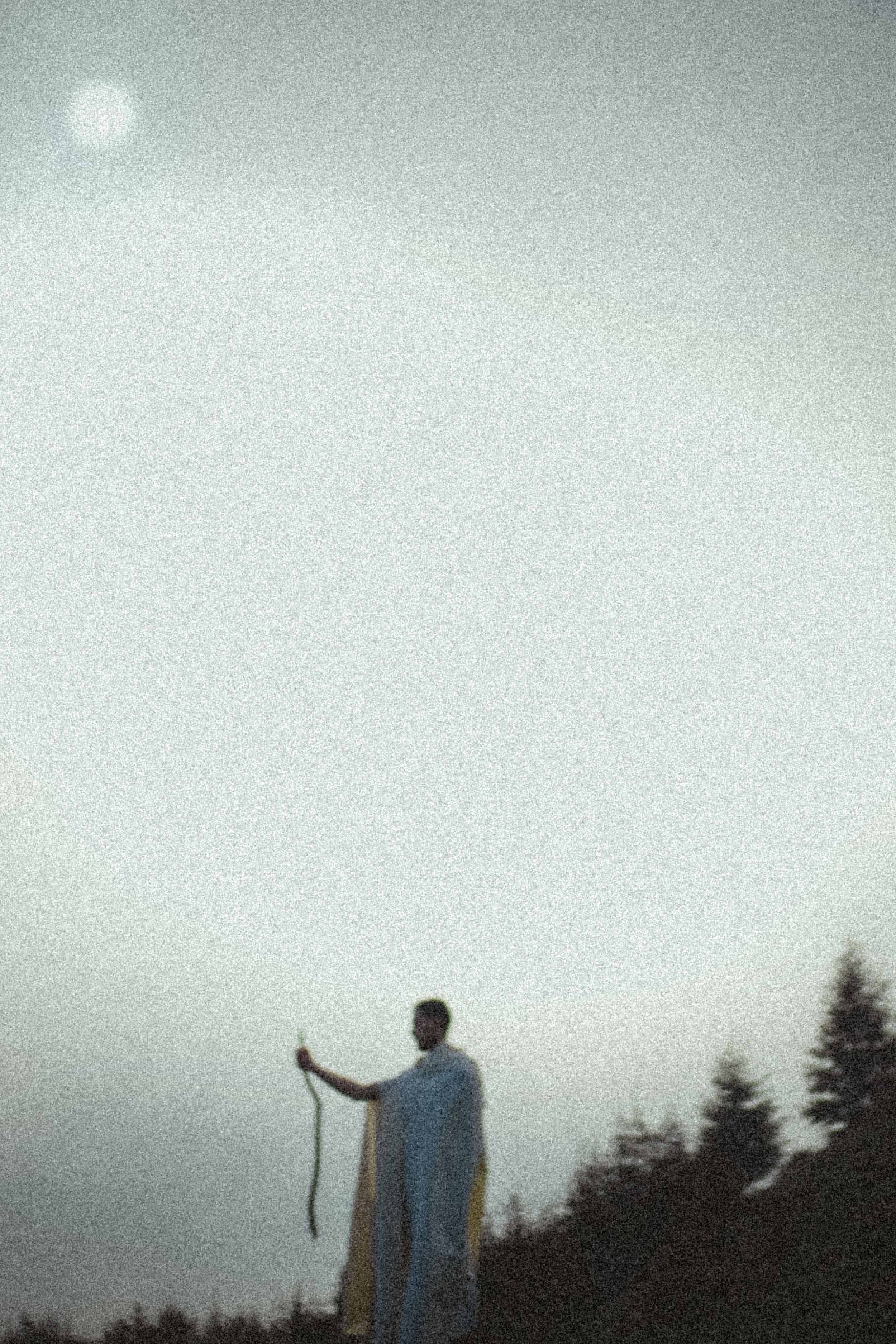 The Gesture Toward the Sky