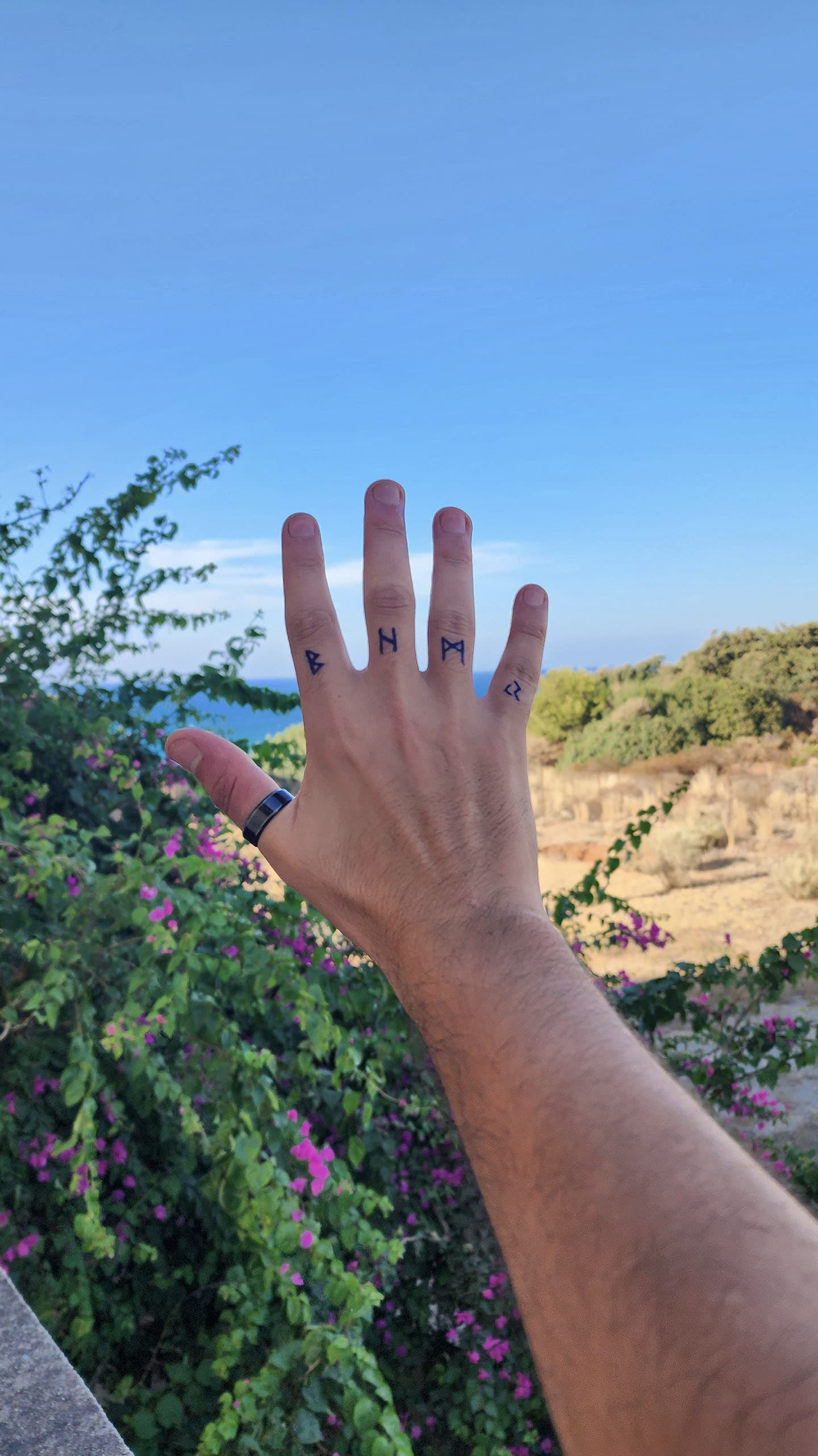 Reaching Toward the Horizon