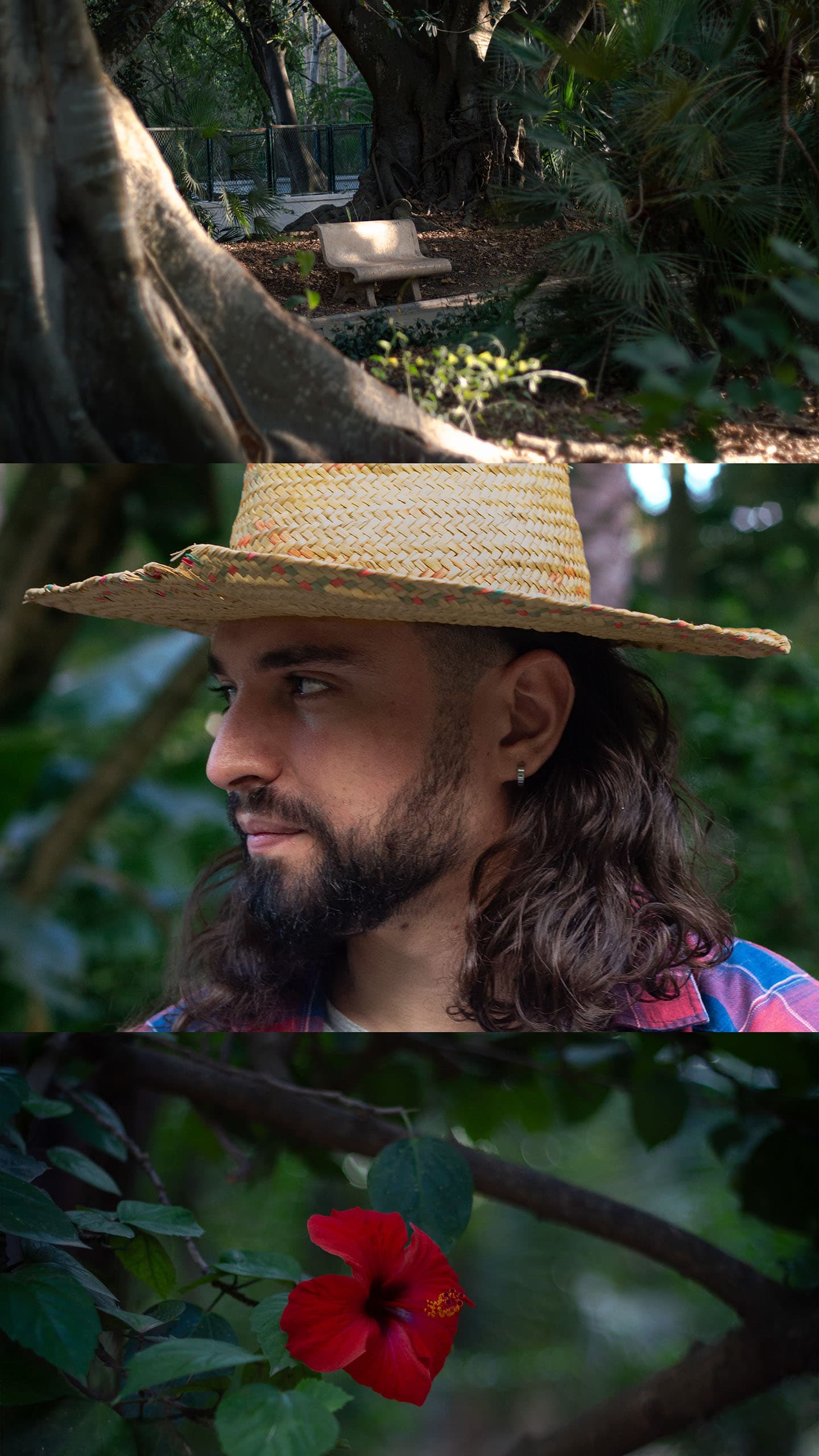 Quiet Corners of the Garden