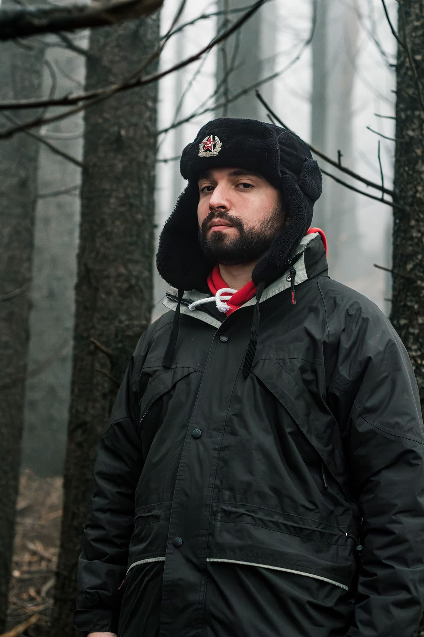 Stillness in the Fog