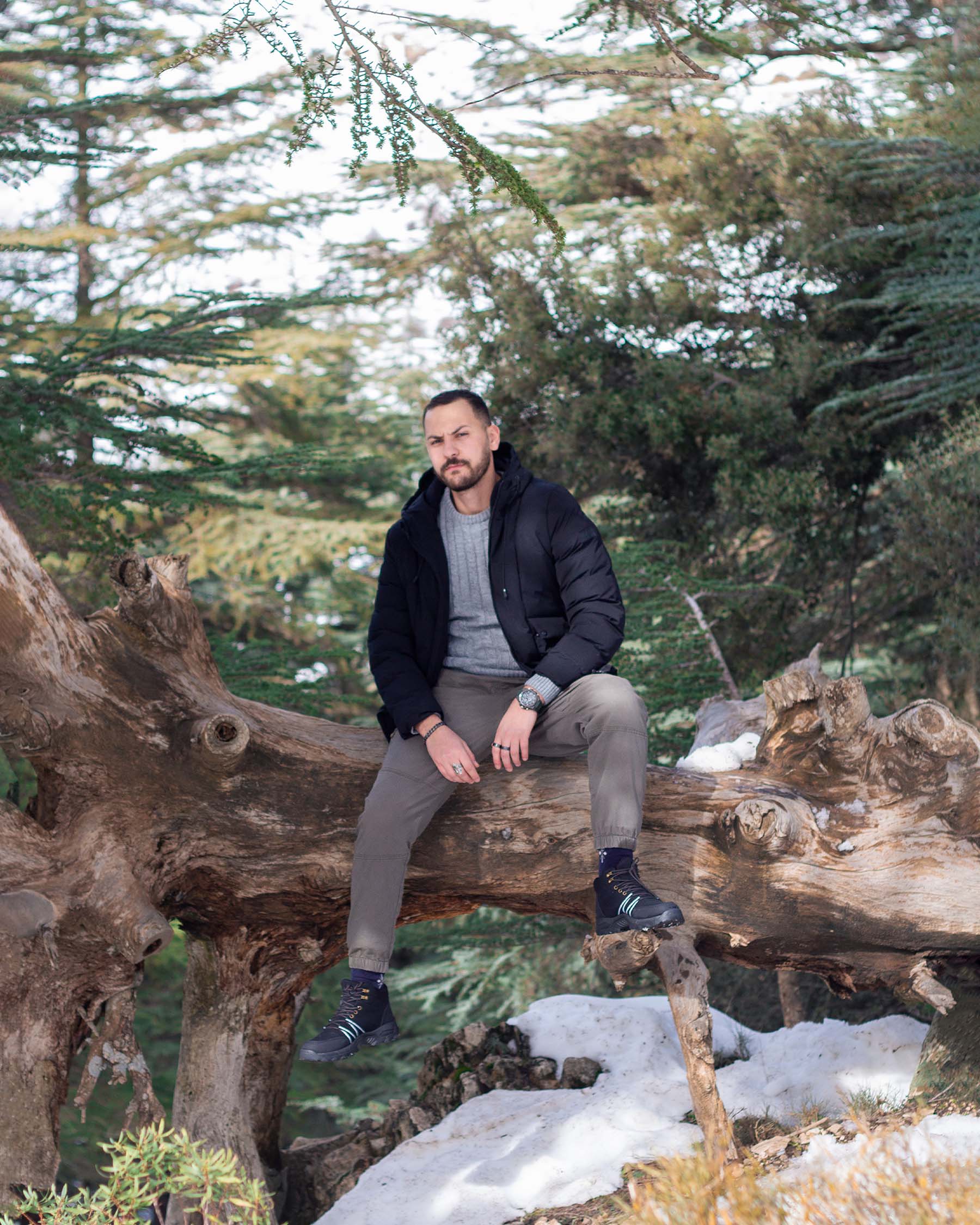 Stillness in the Wild