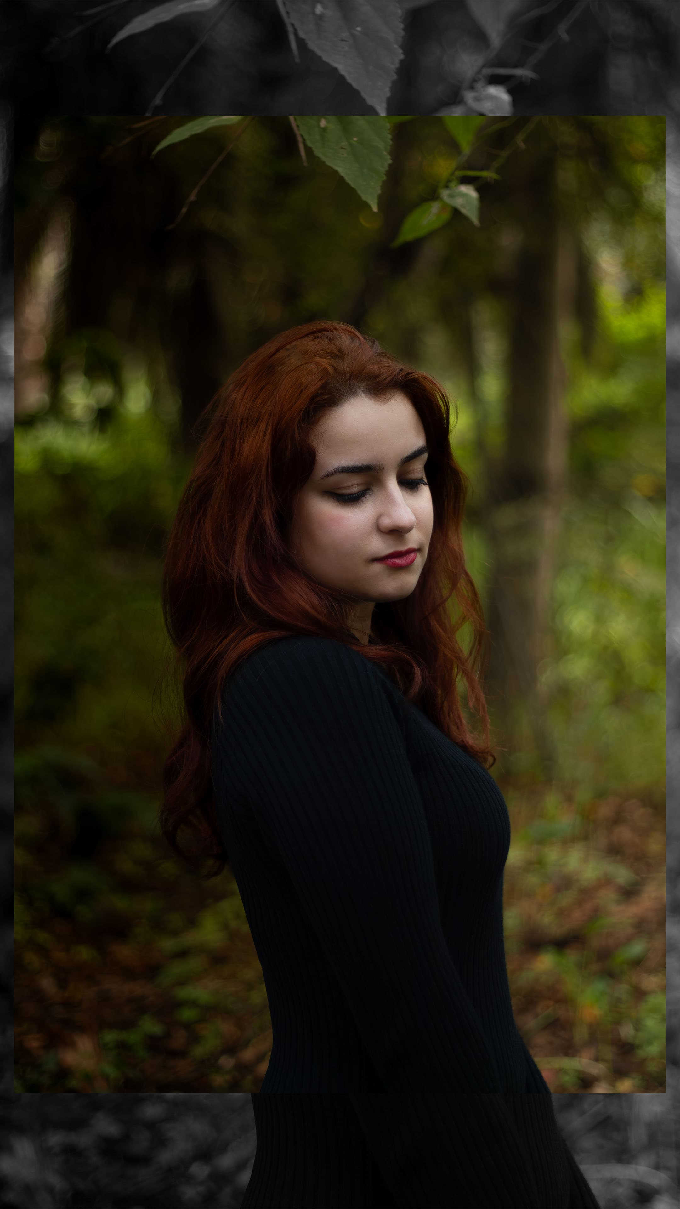 Quiet Between the Trees