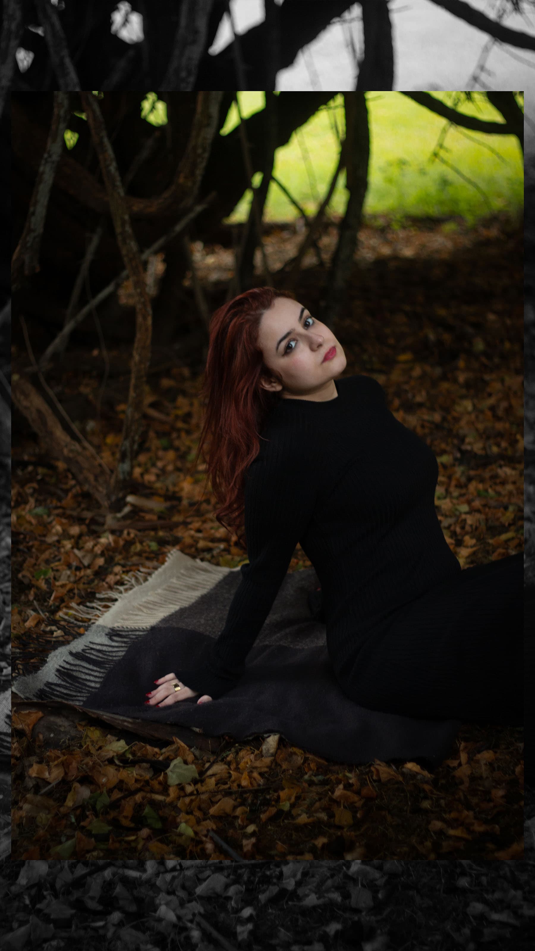 Where the Forest Leans In