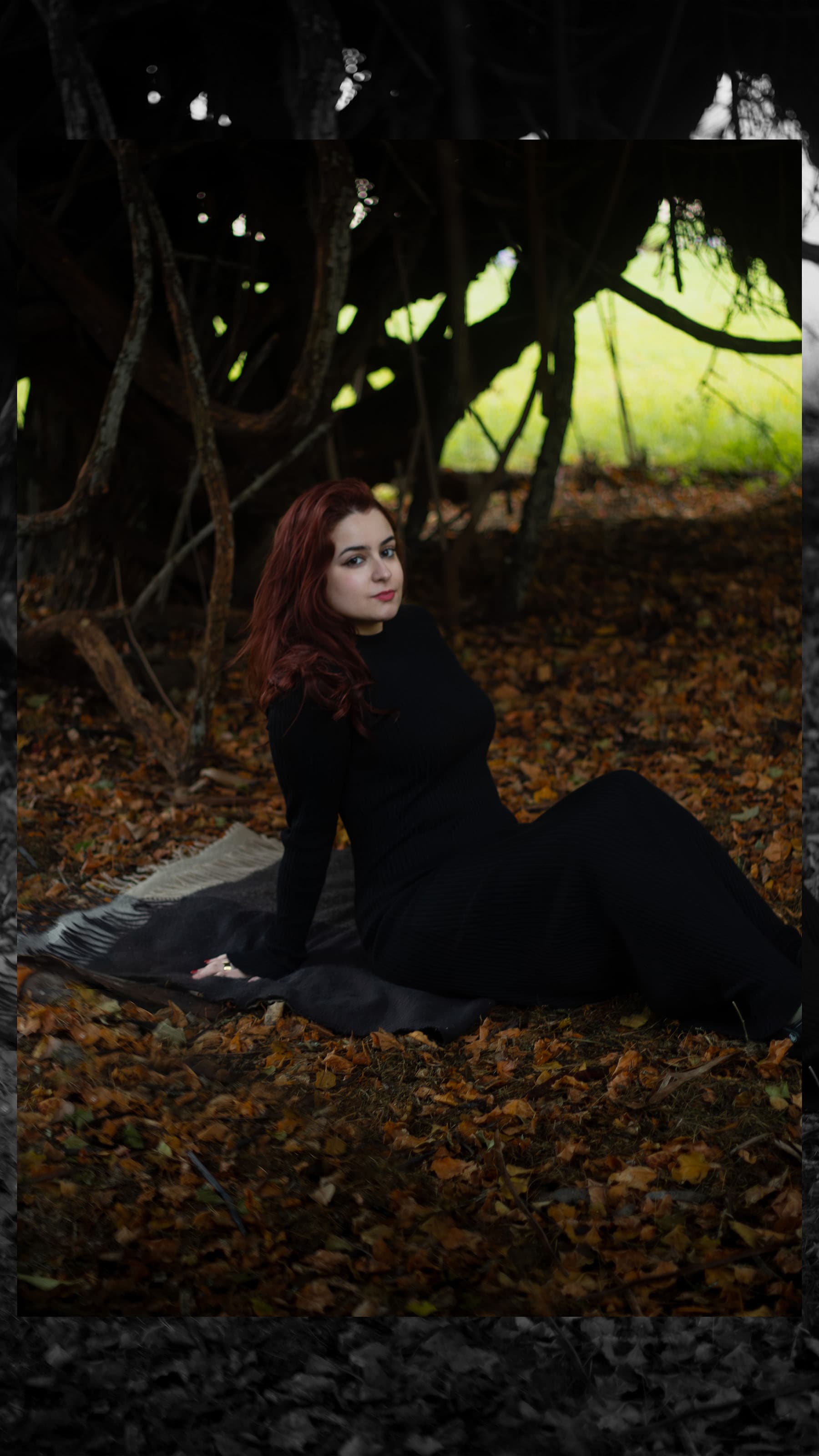 Stillness Beneath the Canopy