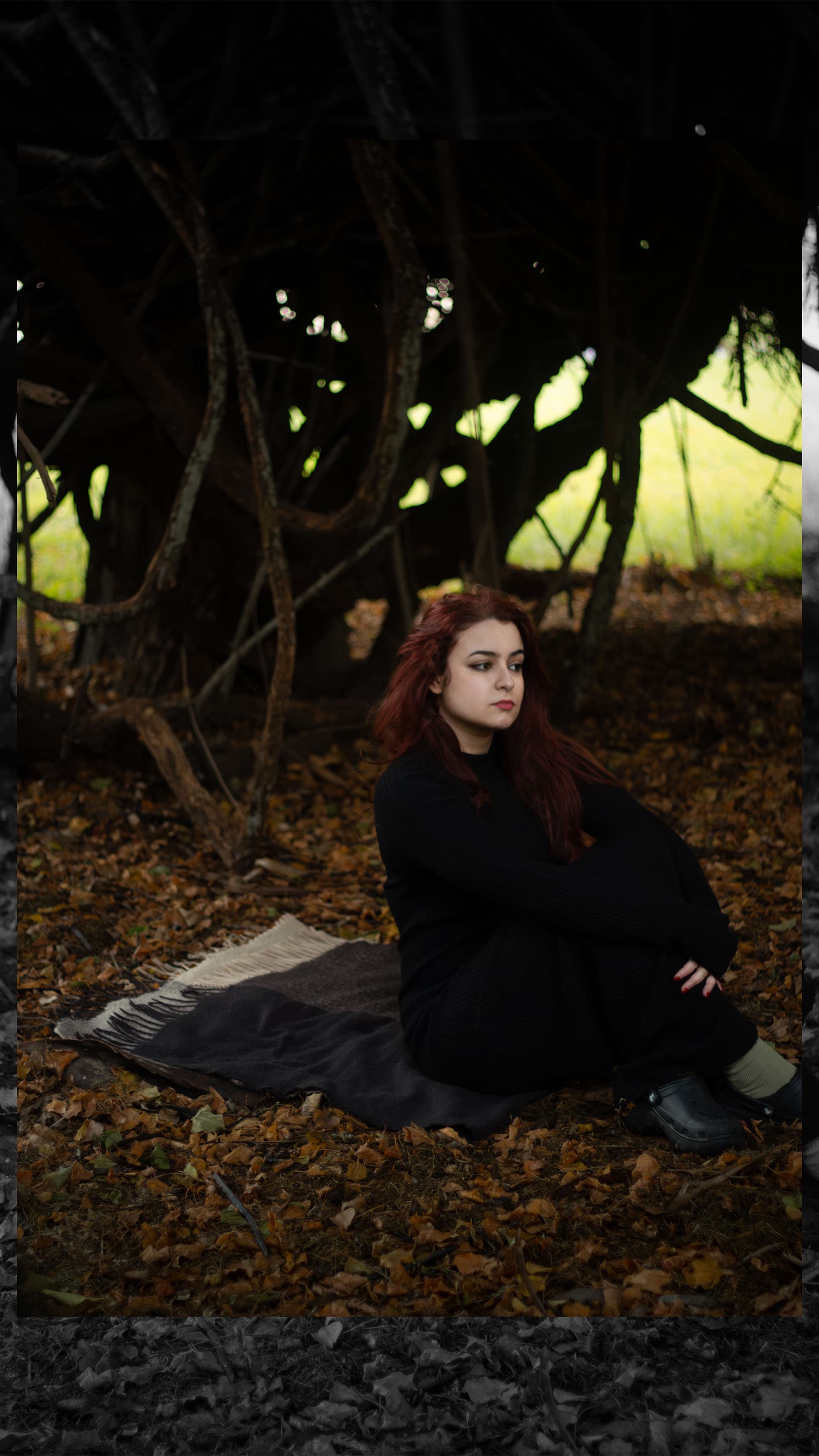 Where the Roots Hold Quiet