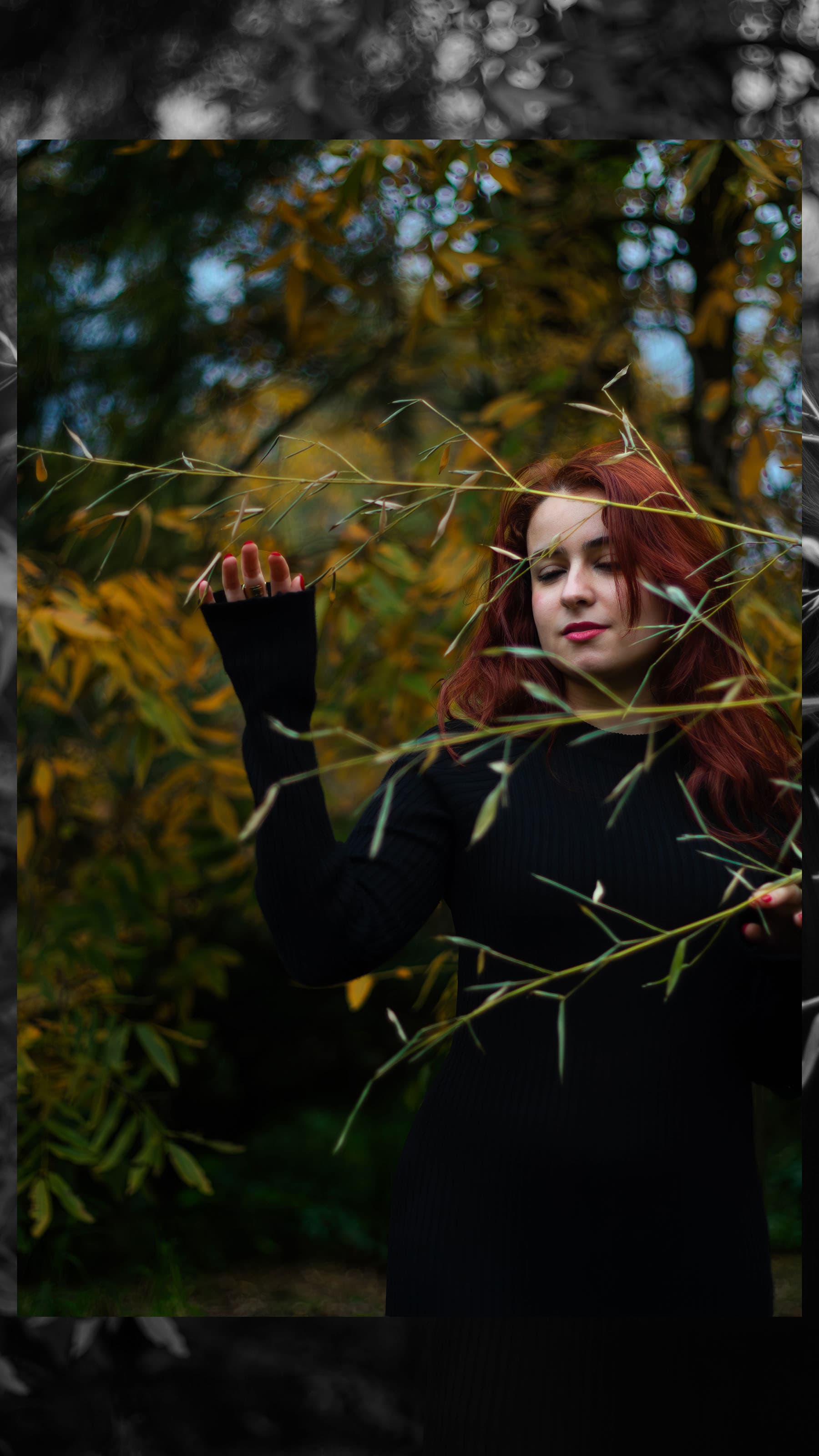 Listening to the Quiet