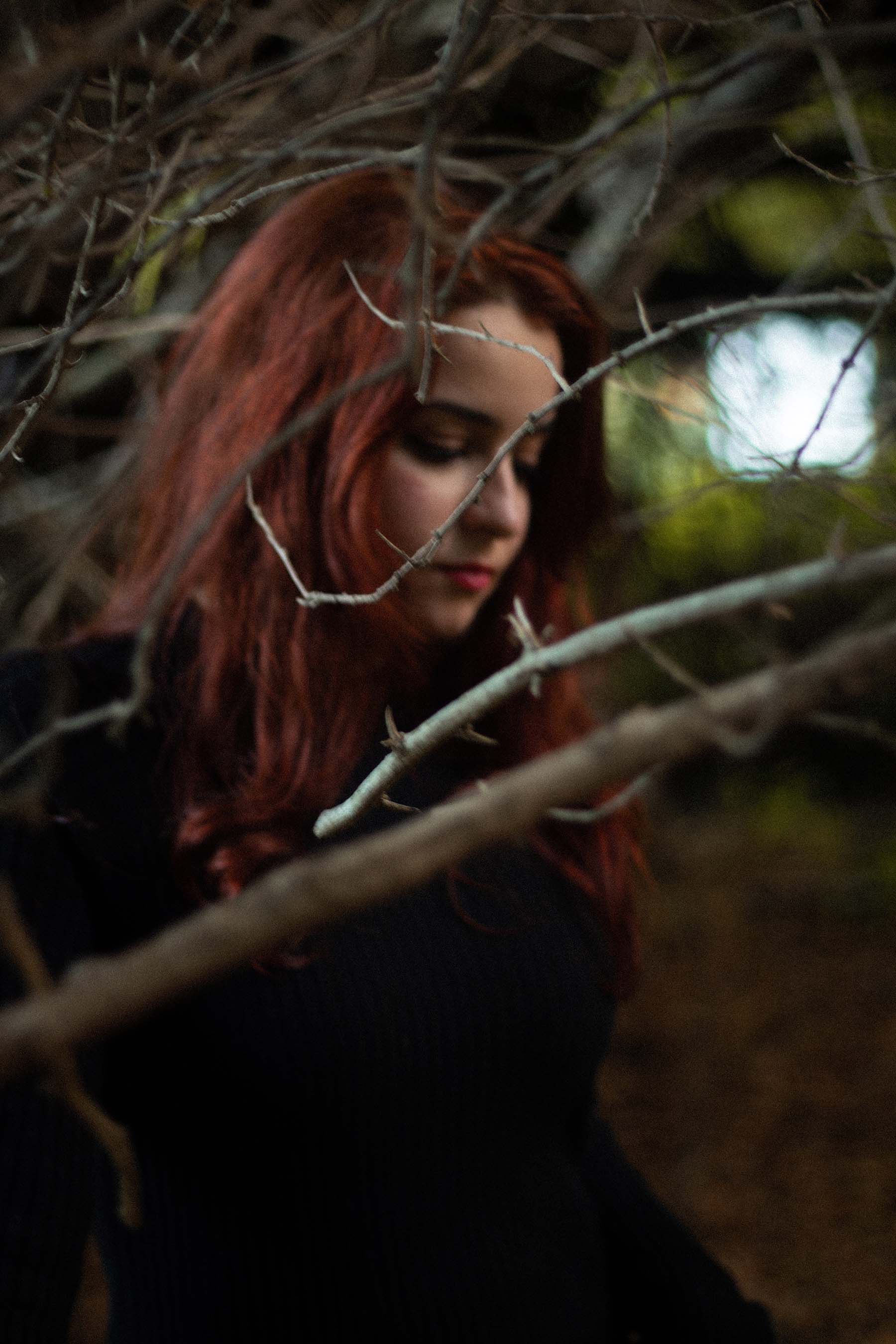 Where Thoughts Catch on Branches